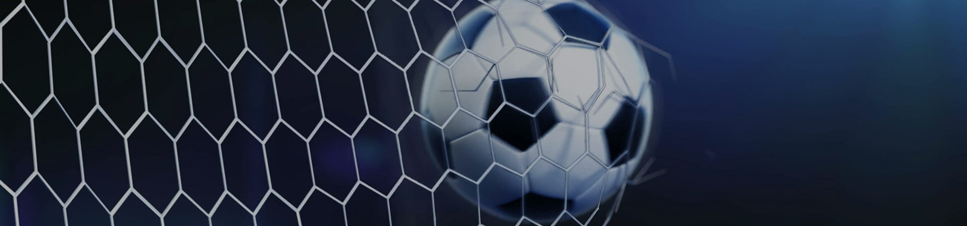 VIDEO ANALYST CERTIFICATION, Nihad Ribić